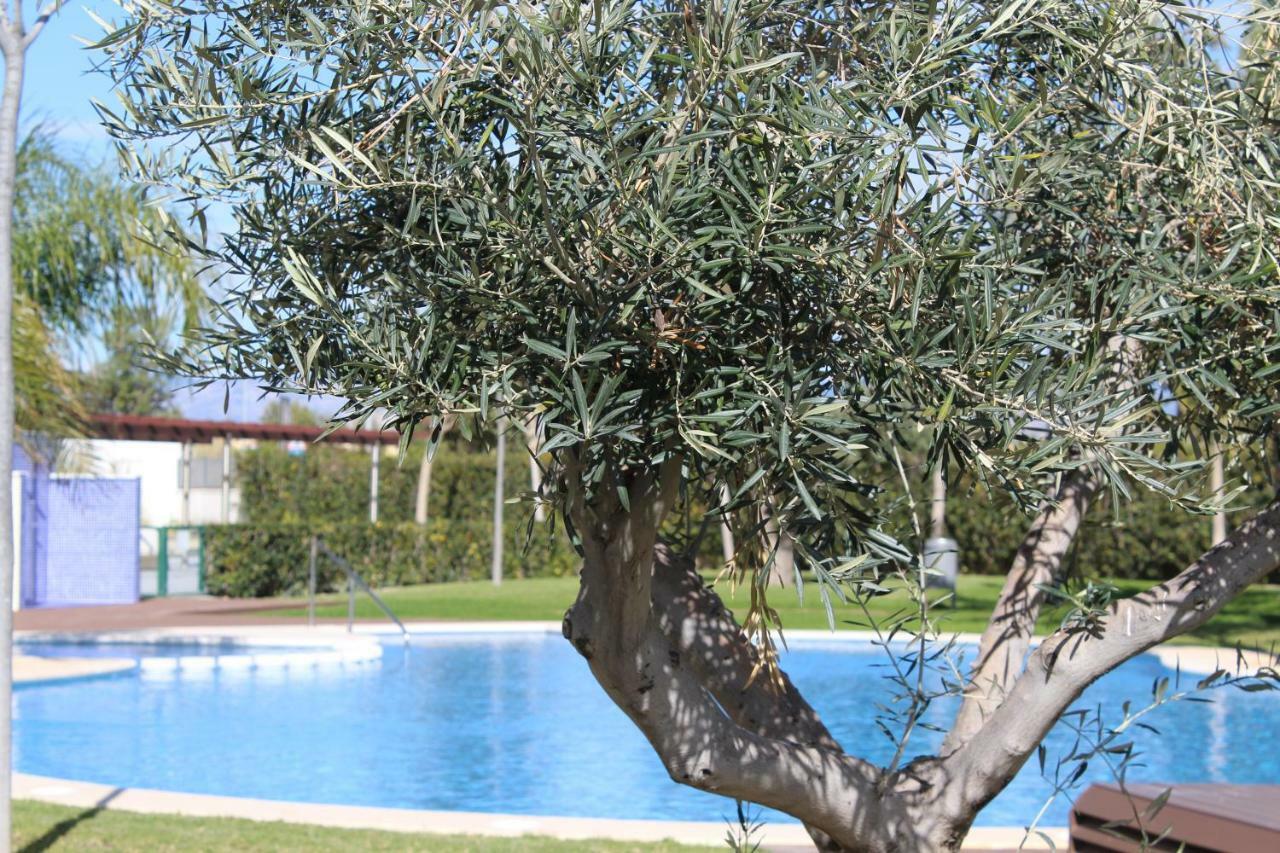 Sol Y Playa Apartment Аликанте Екстериор снимка